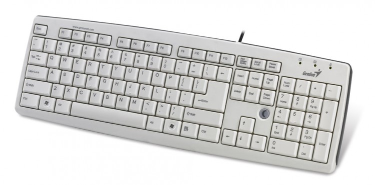 Клавиатура Genius Slender KB-06XE (31300676101) белый USB