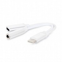 Кабель-адаптер USB Type C - jack 3.5(F)/USB Type C(F),0,1м,Diin ,белый, пакет