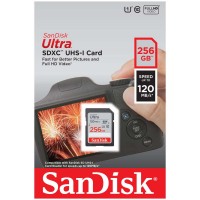 Карта памяти SDXC 256Гб/Class 10/UHS-I,SanDisk Ultra(SDSDUN4-256G-GN6IN)