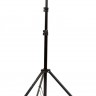 Стойка+мини-голова Raylab LS004, 283см., 10кг., черная, чехол