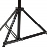 Стойка+мини-голова Raylab LS004, 283см., 10кг., черная, чехол